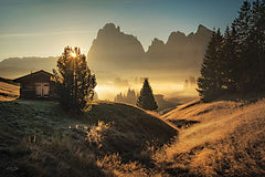 MPP878 - Morning in Italy Countryside - 18x12