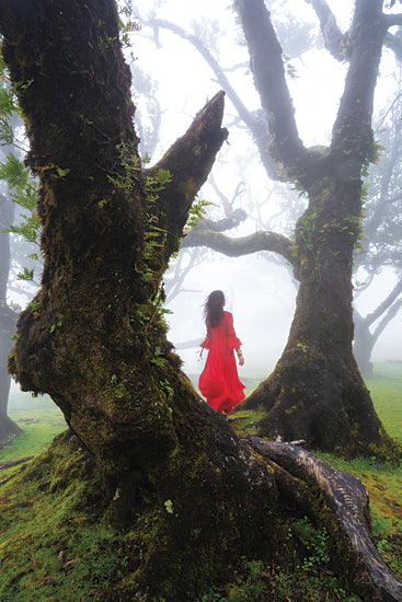 Martin Podt MPP930 - MPP930 - Lady in Red - 12x18 Photography, Trees, Landscape, Forest, Woman, Red Dress from Penny Lane