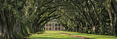 MPP952 - Oak Alley Plantation Panorama - 18x6