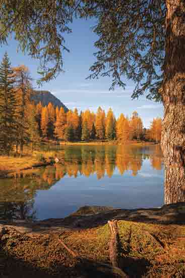 Martin Podt MPP968 - MPP968 - Autumn Happy Place - 12x18 Photography, Landscape, Lake, Trees, Fall, Reflection, Autumn Happy Place from Penny Lane