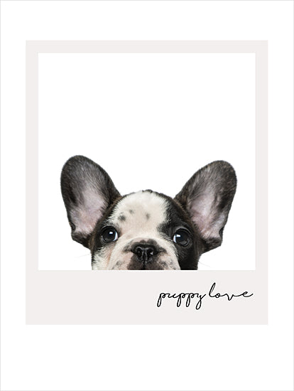 Masey St. Studios MS201 - MS201 - Puppy Love - 12x16 Pets, Dog, Puppy, French Pug, Puppy Love, Typography, Signs, Textual Art, Framed from Penny Lane