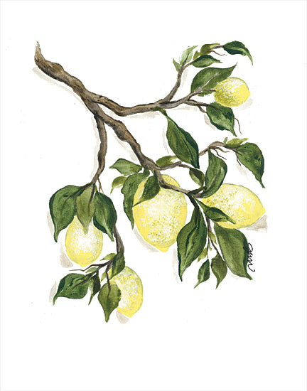 Julie Norkus NOR107 - NOR107 - Squeeze the Day - 12x16 Lemons, Lemon Tree Branches, Fruit, Kitchen from Penny Lane