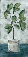 NOR143 - Fiddle Leaf Fig - 12x24