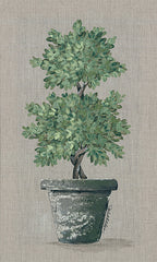 NOR147 - Double Topiary - 10x20