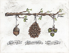 NOR227 - Pinecone Acorn Study - 16x12