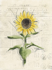 NOR342 - Sunflower Hello - 12x16