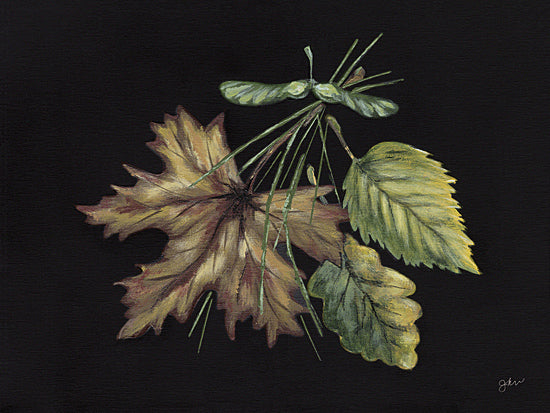 Julie Norkus NOR343 - NOR343 - Leaf Study - 16x12 Fall, Leaves, Leaf Study, Brown, Green, Nature, Black Background from Penny Lane