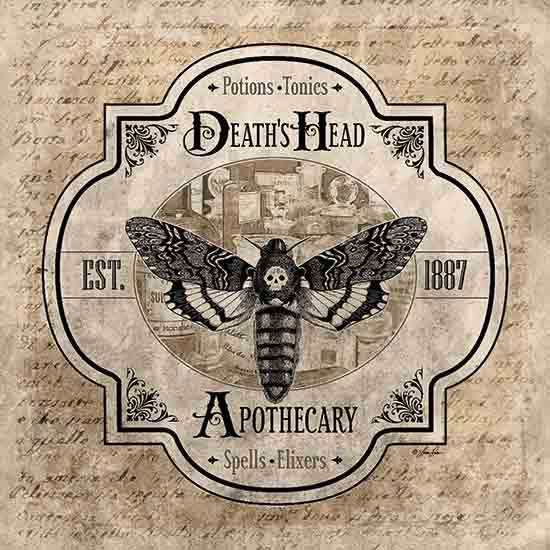 Lauren Rader RAD1440 - RAD1440 - Death's Head Apothecary - 12x12 Halloween, Vintage, Western, Potions* Tonics* Death's Head Apothecary Spells* Elixirs, Typography, Signs, Textual Art, Moth, Tea-Stain from Penny Lane