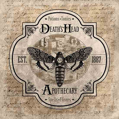 RAD1440 - Death's Head Apothecary - 12x12