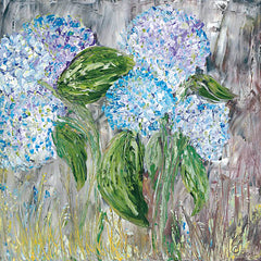 REAR161 - Hydrangeas in Bloom - 12x12