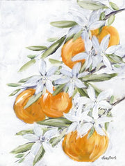 REAR387LIC - Orange Blossoms - 0