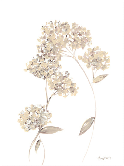 Roey Ebert REAR419 - REAR419 - Hydrangeas Natural I - 12x16 Flowers, Hydrangeas, Ivory Hydrangeas, Natural, Stems, Neutral Palette from Penny Lane