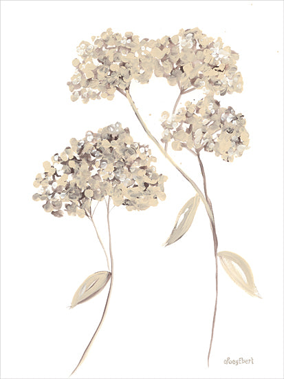 Roey Ebert REAR420 - REAR420 - Hydrangeas Natural II - 12x16 Flowers, Hydrangeas, Hydrangea Stems, Cream Hydrangeas from Penny Lane