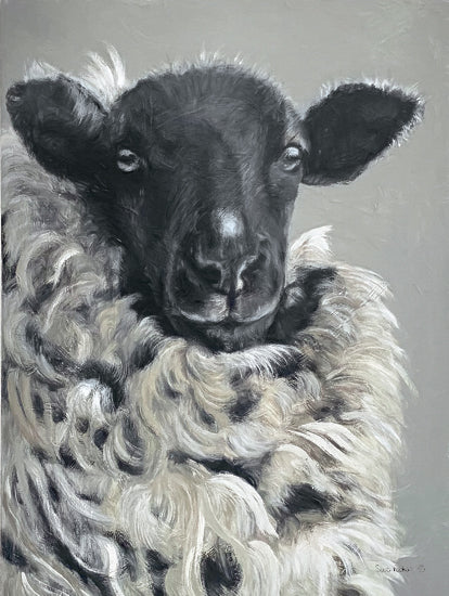 Suzi Redman RED129 - RED129 - Sheep   - 12x18 Sheep, Farm Animal, Portrait from Penny Lane