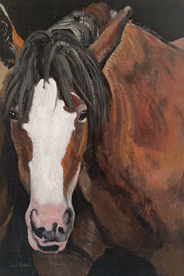 Suzi Redman RED152 - RED152 - Horse Portrait I - 12x18 Horse, Farm Animal, Portrait, Close-Up from Penny Lane