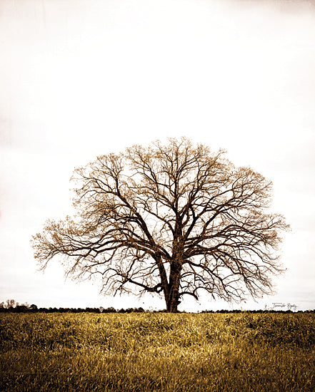 Jennifer Rigsby RIG115 - RIG115 - Legacy Oak - 12x16 Tree, Landscape, Photography, Oak Tree, Field from Penny Lane