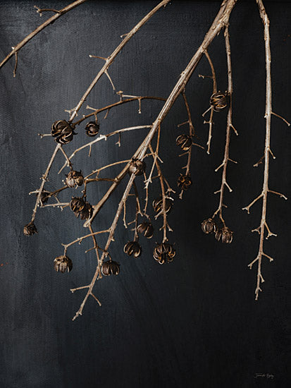 Jennifer Rigsby RIG129 - RIG129 - Branches in Noir II - 12x16 Photography, Branches, Black, Still Life, Fall from Penny Lane