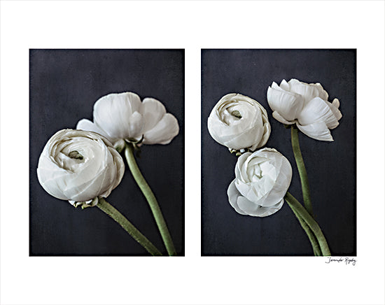 Jennifer Rigsby  RIG133 - RIG133 - Refined Beauty IV - 16x12 Photography, Flowers, White Flowers, Diptych, Petals, Stems from Penny Lane