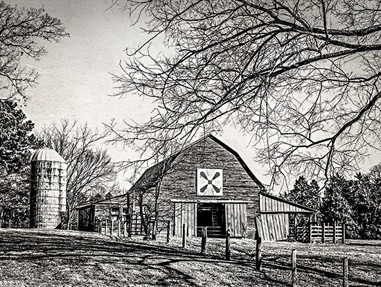 Jennifer Rigsby RIG136 - RIG136 - At Home in the Barn - 16x12 Photography, Barn, Farm, Black & White, Barn Quilt Block, Landscape from Penny Lane