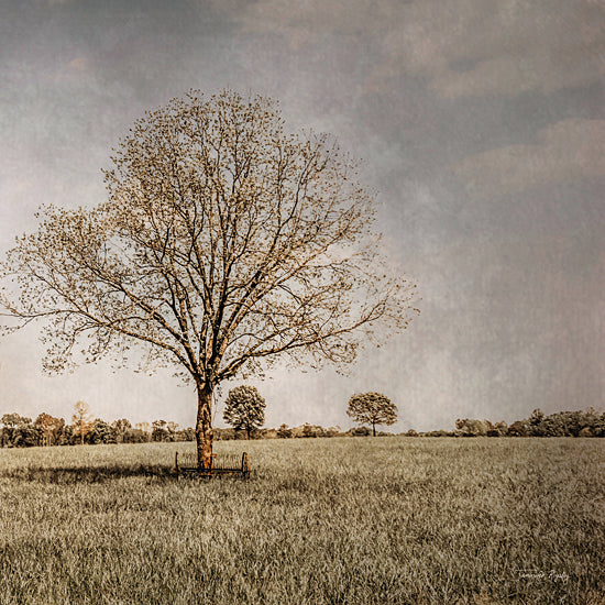 Jennifer Rigsby RIG154 - RIG154 - Spring Awakening - 12x12 Photography, Trees, Spring, Landscape, Field from Penny Lane
