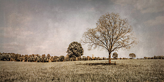 Jennifer Rigsby RIG155 - RIG155 - Spring in the Fields - 18x9 Photography, Trees, Spring, Landscape, Field from Penny Lane