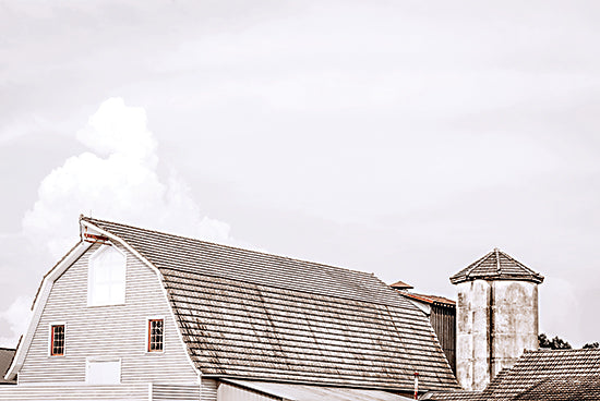 Jennifer Rigsby RIG185 - RIG185 - Mod Barn - 18x12 Barn, Modern Barn, Tin Roof, Photography, Farm, Neutral Palette from Penny Lane