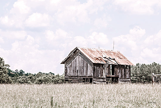 Jennifer Rigsby RIG186 - RIG186 - Saluda Barn - 18x12 Barn, Farm, Photography, Rustic, Abandoned Barn, Weathered Barn, Landscape, Fields from Penny Lane