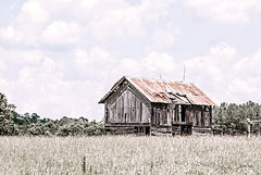 RIG186 - Saluda Barn - 18x12