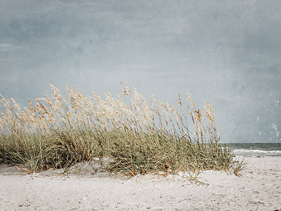Jennifer Rigsby RIG196 - RIG196 - Vintage Beach Grass I - 16x12 Coastal, Photography, Beach Grass, Beach, Coast, Sand, Ocean, Landscape from Penny Lane
