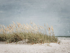 RIG196 - Vintage Beach Grass I - 16x12