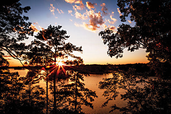 Jennifer Rigsby RIG201 - RIG201 - Saluda Bluff Sunset    - 18x12 Photography, Landscape, Saluda Bluff, South Carolina, Trees, Lake, Sunset from Penny Lane