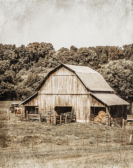 Jennifer Rigsby RIG204 - RIG204 - Nestled Hills Barn - 12x16 Photography, Barn, Farm, Landscape, Sepia, Hills, Trees, Fields from Penny Lane
