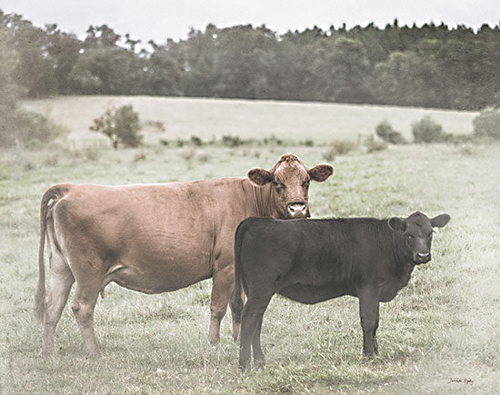 Jennifer Rigsby RIG218 - RIG218 - Momma's Side - 16x12 Photography, Cows, Pasture, Landscape, Cow and Calf from Penny Lane