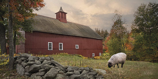 Robin-Lee Vieira RLV383 - The Lone Grazer  - Sheep, Farm, Barn, Grazing, Landscape from Penny Lane Publishing