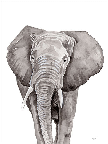Rachel Nieman RN269 - RN269 - Safari Elephant Peek-a-boo - 12x16 Elephant, Portrait, Gray & White from Penny Lane