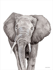 RN269 - Safari Elephant Peek-a-boo - 12x16