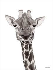 RN270 - Safari Giraffe Peek-a-boo - 12x16
