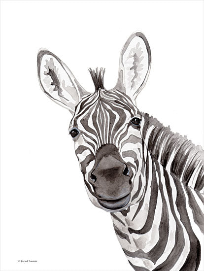 Rachel Nieman RN271 - RN271 - Safari Zebra Peek-a-boo - 12x16 Zebra, Portrait, Gray & White from Penny Lane