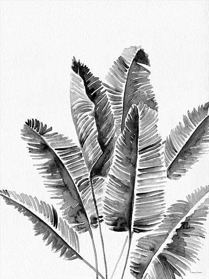 Rachel Nieman RN292 - RN292 - Organic Botanical III   - 12x16 Leaves, Plants, Botanical, Abstract from Penny Lane