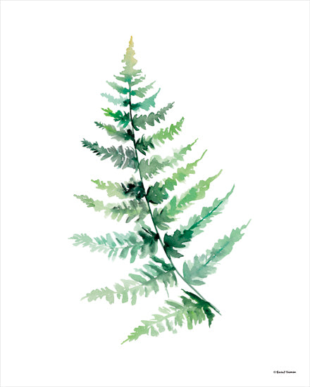 Rachel Nieman RN309 - RN309 - Watercolor Botanical III - 12x16 Botanicals, Greenery, Leaves, Watercolor, Nature from Penny Lane