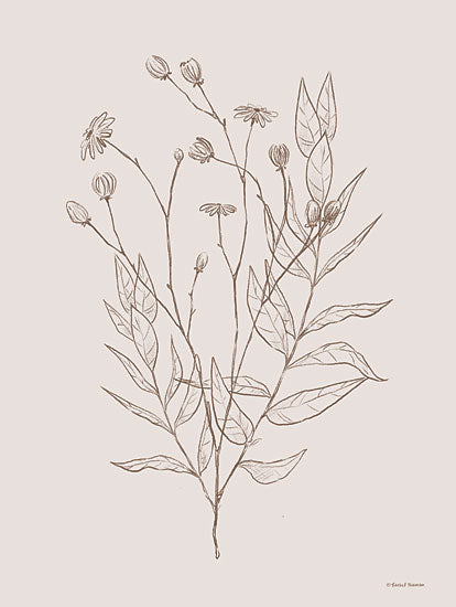 Rachel Nieman RN334 - RN334 - Wildflower Drawing - 12x16 Wildflowers, Drawing, Neutral Palette from Penny Lane