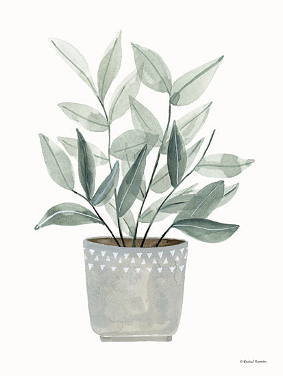 Rachel Nieman RN385 - RN385 - Sage Planter - 12x16 Sage Planter, Greenery, Neutral Palette from Penny Lane