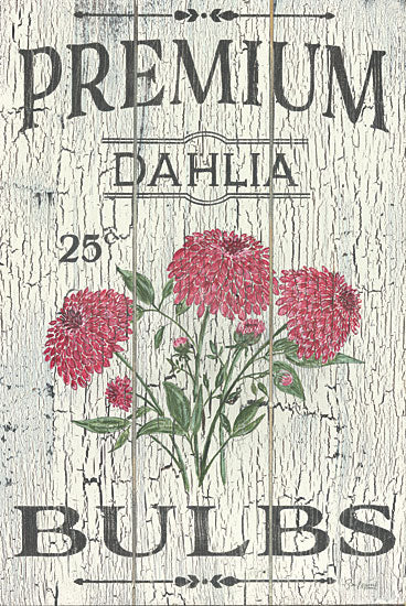 Soulspeak & Sawdust SAW107 - SAW107 - Dahlia Bulbs - 12x18  Dahlia Seeds, Flowers, Dahlia Bulbs, Seed Packet, Typography, Signs, Advertisements, Spring, Traditional from Penny Lane
