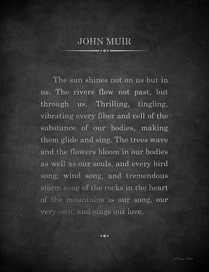 Susan Ball SB1101 - SB1101 - The Sun Shines In Us - 12x16 Quotes, John Muir, The Sun Shines Not on Us but in Us, Typography, Signs, Textual Art, Motivational, Black & White, Naturalist from Penny Lane