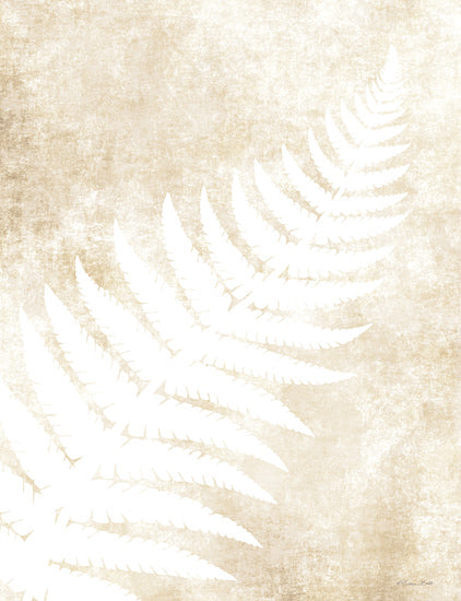 Susan Ball SB1117 - SB1117 - Fern Frond 1 - 12x16 Ferns, Leaves, Frond, Neutral Palette, Botanical from Penny Lane