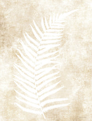 SB1118 - Fern Frond 2 - 12x16