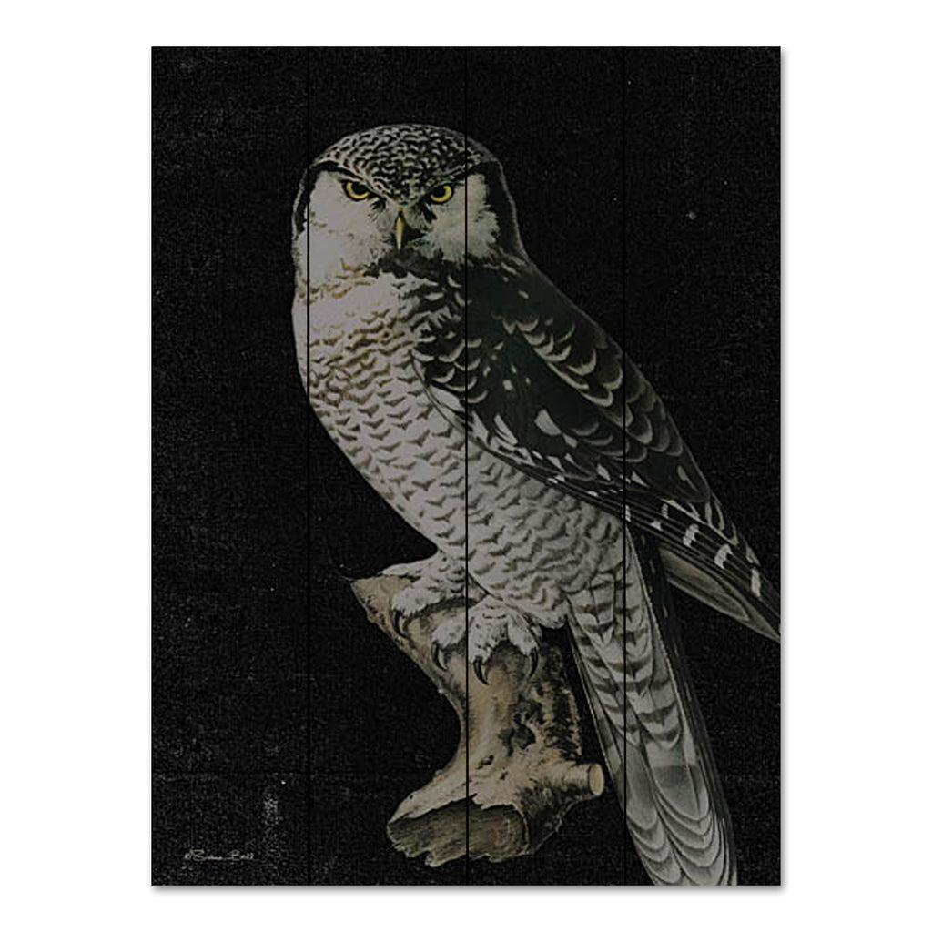 Susan Ball SB1125PAL - SB1125PAL - Moody Owl - 12x16 Owl, Bird, Nighttime, Portrait from Penny Lane