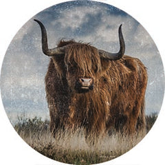 SB1243RP - Highland Bull Vintage 1 - 18x18