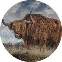 SB1244RP - Highland Bull Vintage 2 - 18x18