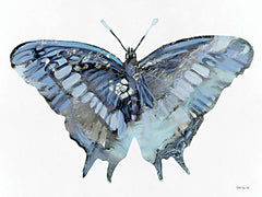 SDS1002 - Blue Butterfly - 16x12